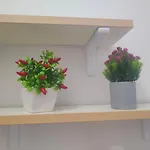 公寓 Casa Giulietta 杰拉